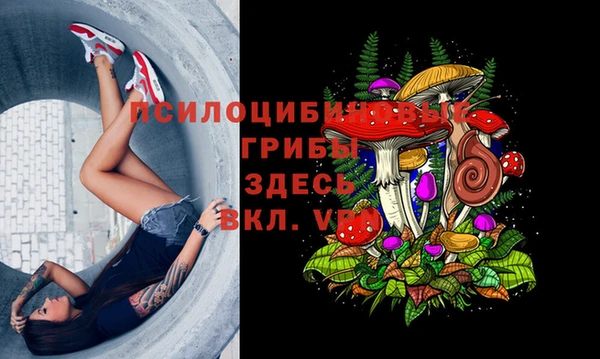 прущий лед Каменка
