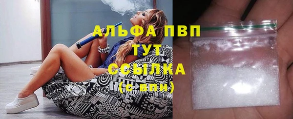 прущий лед Каменка