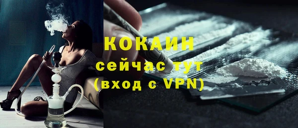 прущий лед Каменка
