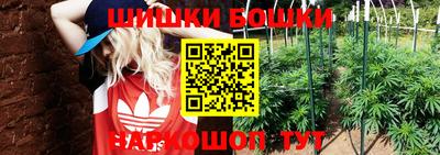 индика Волжск
