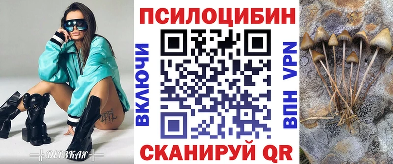Галлюциногенные грибы ЛСД  кракен ТОР  Дзержинск  дарнет шоп 