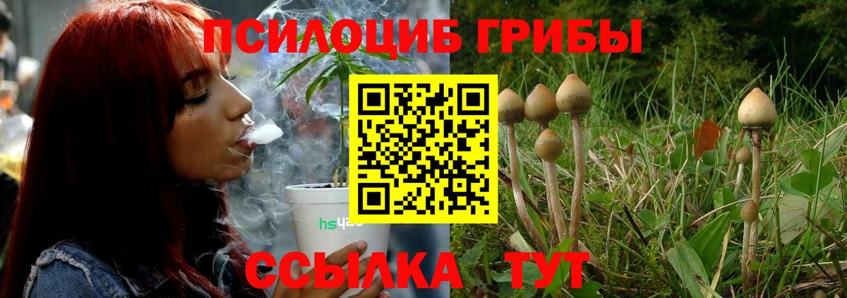 Псилоцибиновые грибы MAGIC MUSHROOMS  Дзержинск 