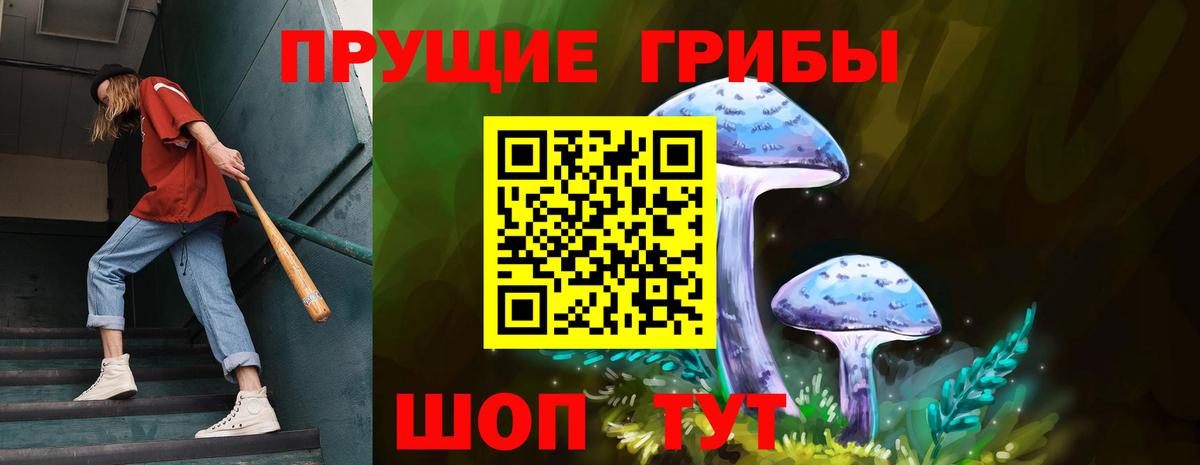 Дзержинск  Галлюциногенные грибы прущие грибы  Вход с VPN 